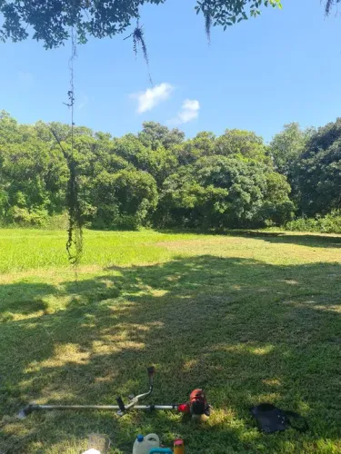 Jardinagem