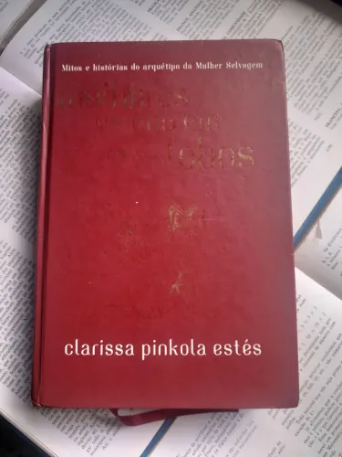 Mulheres que Correm com os Lobos - Clarissa Pinkola Estés