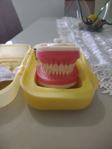 Manequim odontológico Pronew