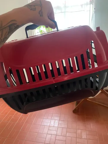 Caixa pet transporte 