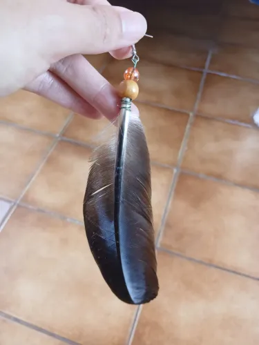 Brinco de pena