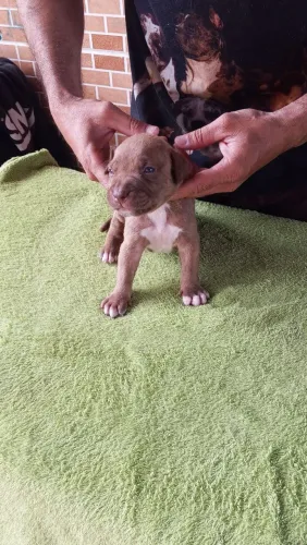 Pit monster