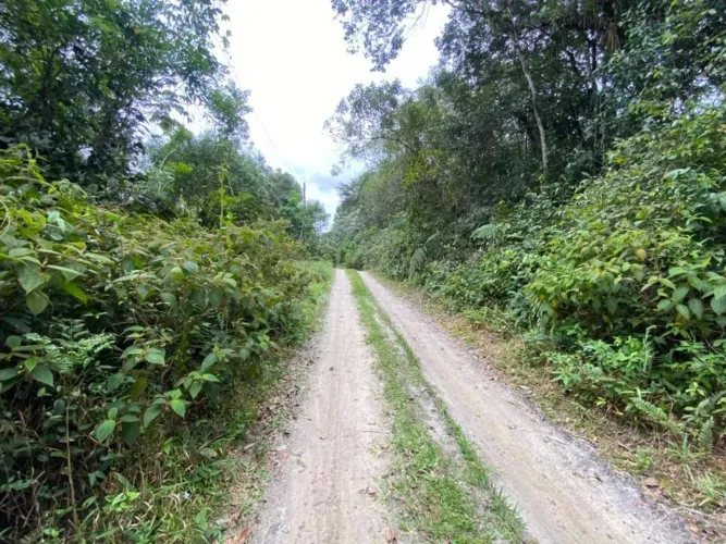 Terreno para Venda em Itanhaém, Jardim Coronel
