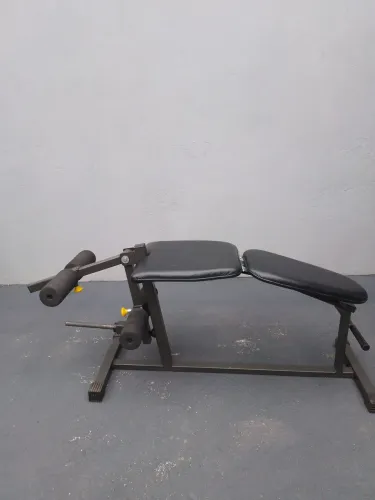 Banco extensora e flexora (anilhas)