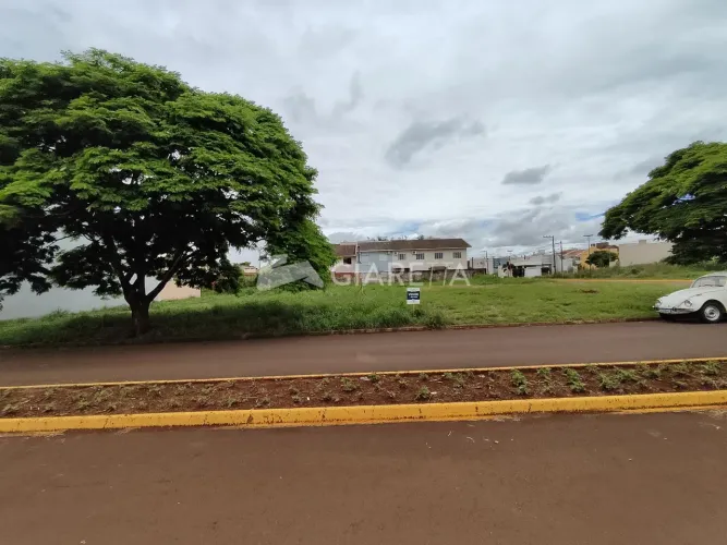 Terreno em excelente localização à venda, JARDIM GISELA, TOLEDO - PR