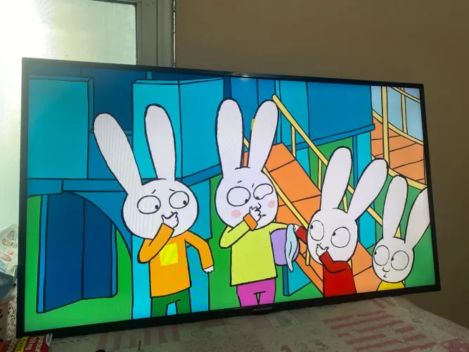 Vendo tv