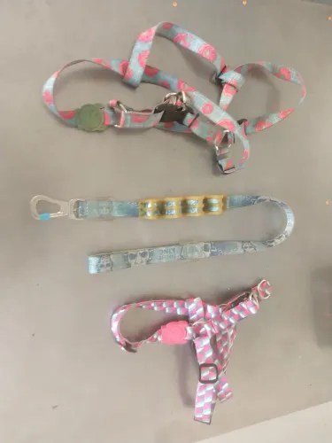 2 peitorais e 1 guia da marca Zeedog usados