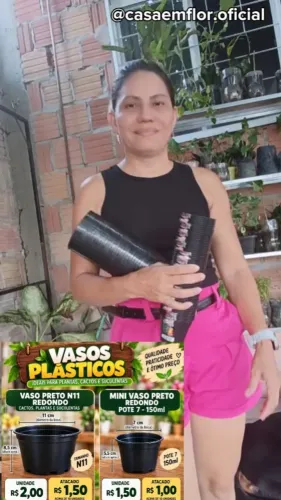 Vasinhos para cactos e suculentas