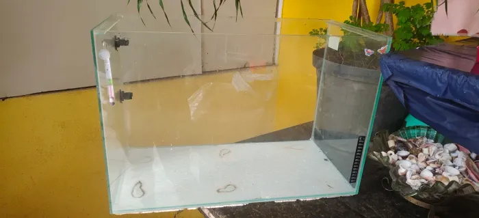 aquário 72 litros