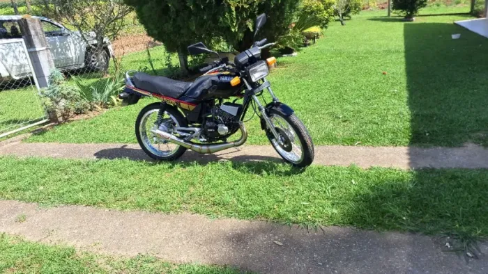 Rd-Z 135 