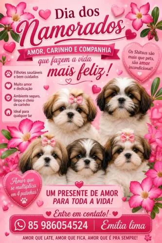 Shitsu para reserva e disponível 
