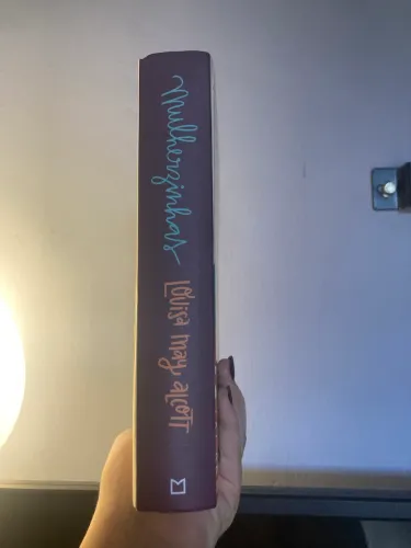 livro ?mulherzinhas?