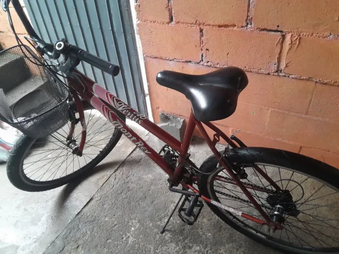 Bicicleta