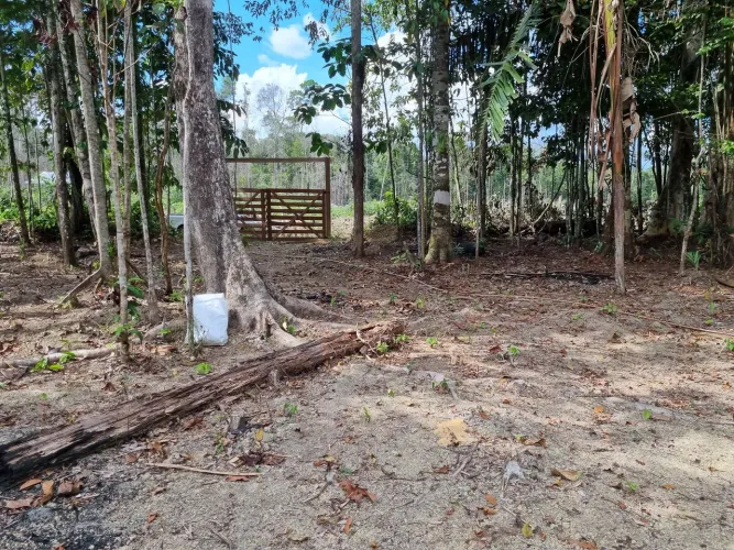 Vendo lindo terreno pronto pra construi sua chácara