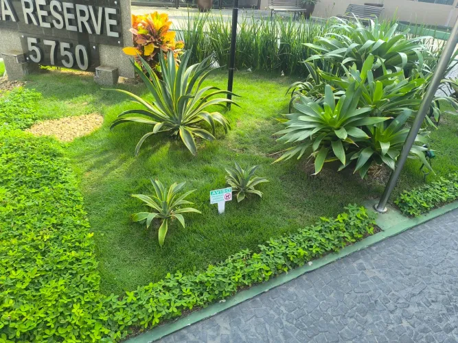 Jardineiro com experiência em roçadeira