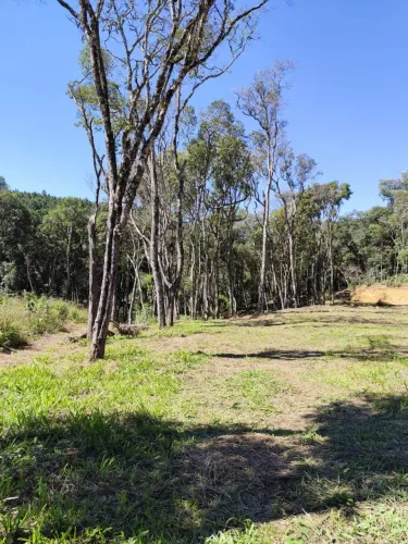 Área de chácara Escriturada c fácil acesso