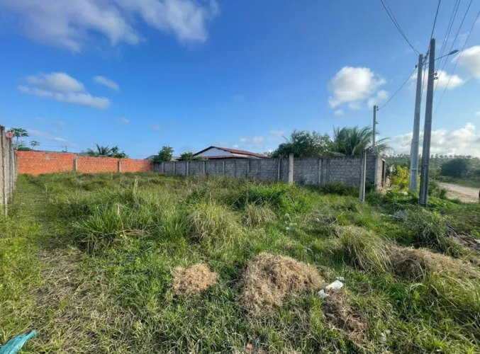 Lote em Marechal - Francês