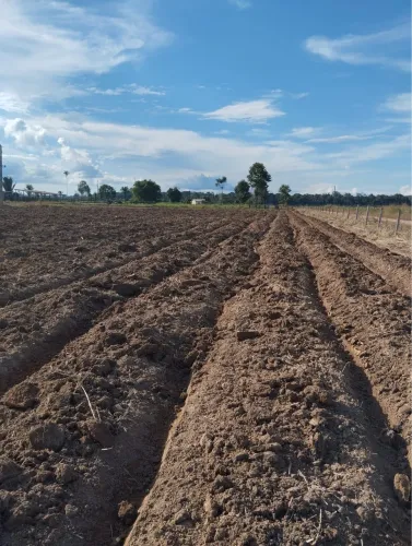 Sítio Próximo ao Rio preto