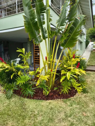 Paisagista em Florianópolis