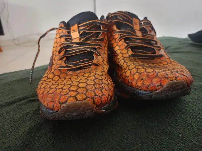 Mizuno Wave Prophecy
