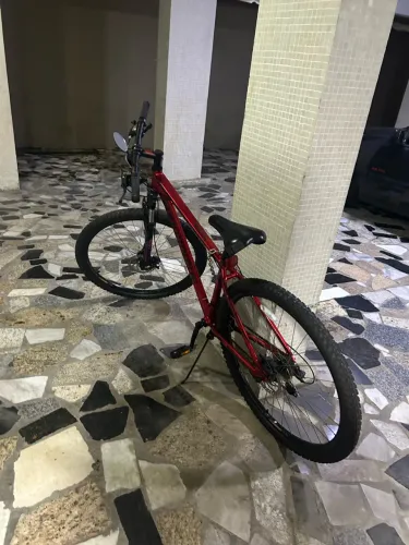 Bicicleta Endorphine Aro 29