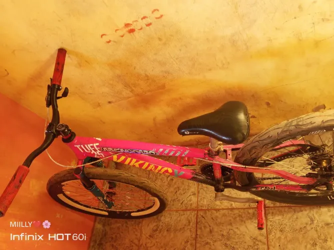 Bicicleta