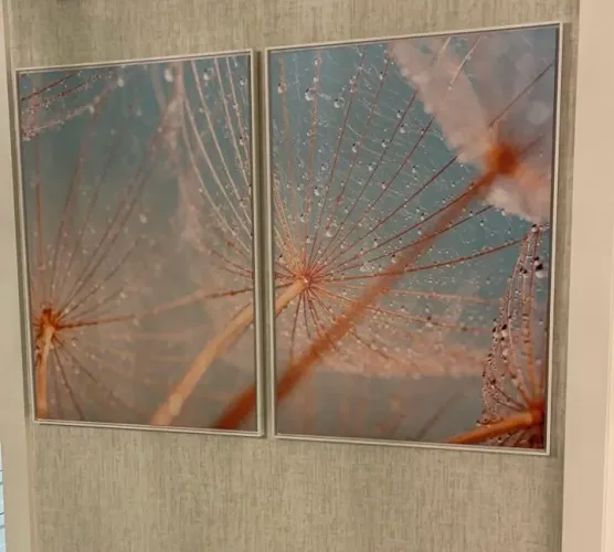 Dupla de quadros em canvas