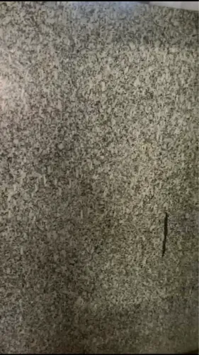 Urgente placa granito cinza andorinha 