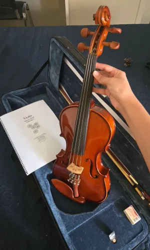 Violino Eagle VE 441