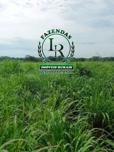 Oportunidade Chácara de 34 Hectares Próximo de Palmas, 