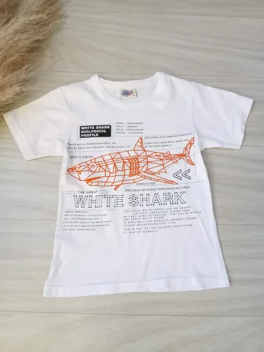 Camiseta infantil masculina 