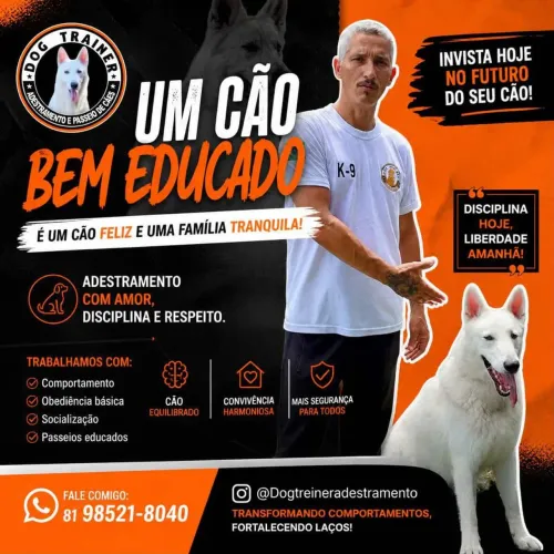 Adestramento de cães 