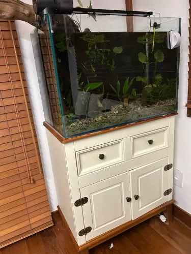 AQUARIO
