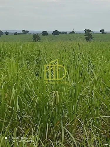 Fazenda de Cana-de-Açucar à venda, 593 Alqueires por R$ 106.830.000 - Panorama - Panorama/