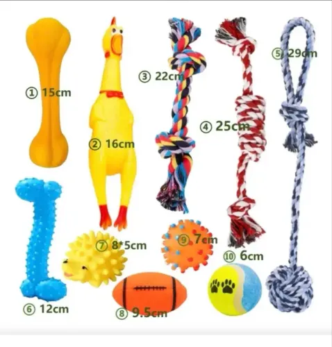 Kit 10 Brinquedos Mordedores Para Cães Dental