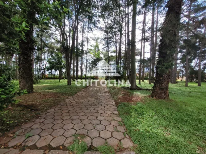 Terreno comercial em ótima localização! Medindo aproximadamente 3000 M². Sendo três lotes 