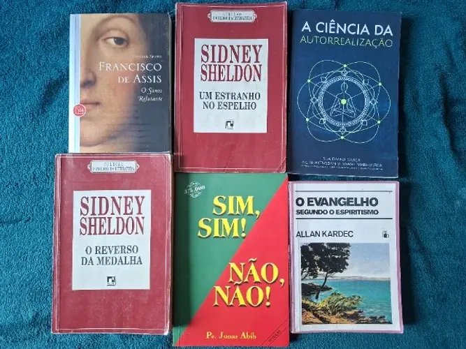 Lote de Livros Usados - Literatura, Religião, História, Ciência e Autoajuda