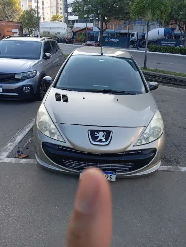 Peugeot 207 XR 1.4 Flex 8V 5P 2011