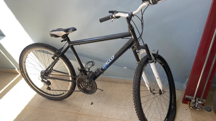 Bicicleta