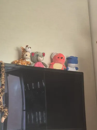 Televisao