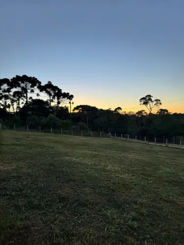 Vendo área de 1000 metros quadrados na colônia Murici