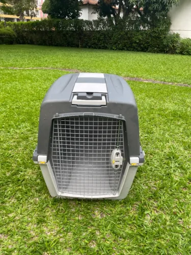 Caixa de Transporte Cachorro Gulliver 7