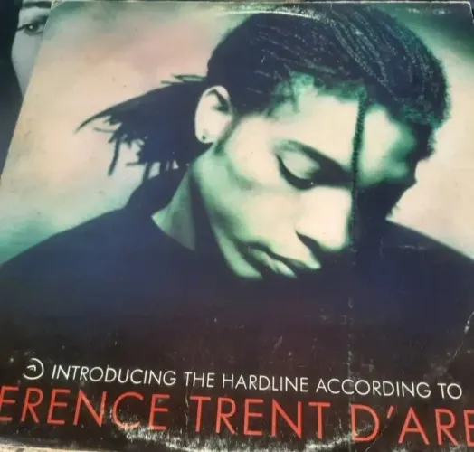 Vinil Terence Trent D' Arby.