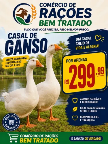 Aves 
