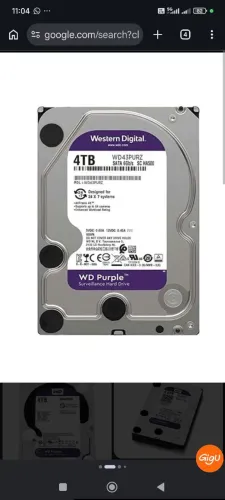 HD Purple 4TB