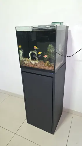 Aquario completo 60 litros, com móvel, peixes e ornamentação, uma decoração pra sua casa.