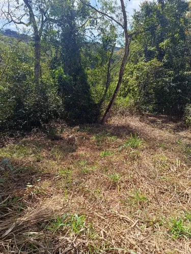 Vendo lote 807 M2 em São João de Cima MG