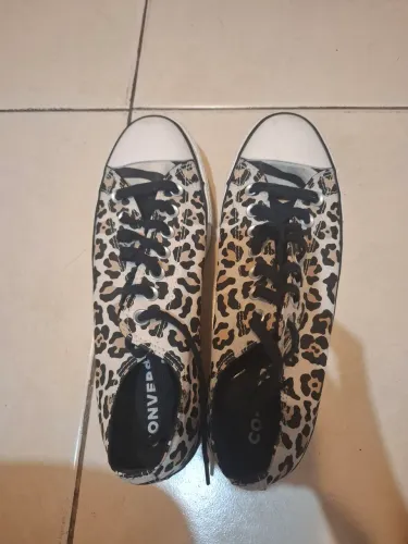 All Star Onça N40