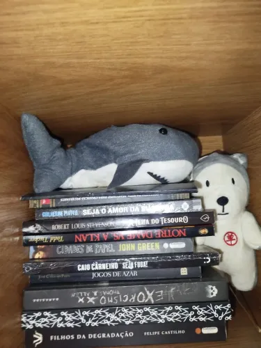 LOTE 70 livros diversos. Terror, ficção científica, romance, poesia e histórico