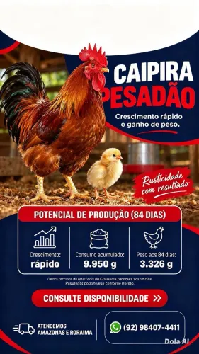 Pitinhos de caipirão pesadão